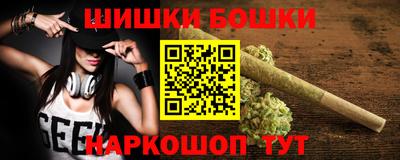 индика Обь