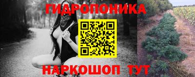 индика Обь