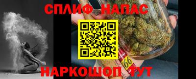 индика Обь